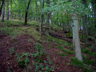 Heimbach