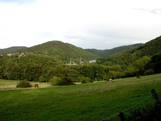 Heimbach