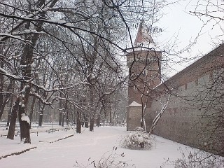 Krakau